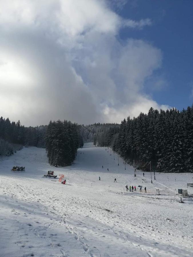 Penzion Ctyrlistek Teplice nad Metují エクステリア 写真