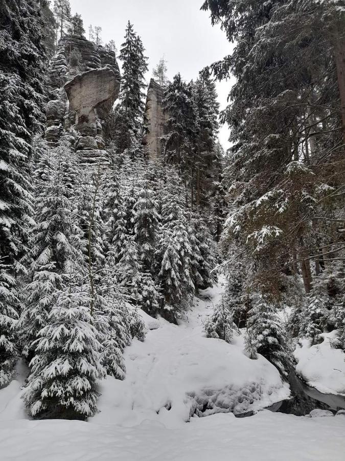 Penzion Ctyrlistek Teplice nad Metují エクステリア 写真