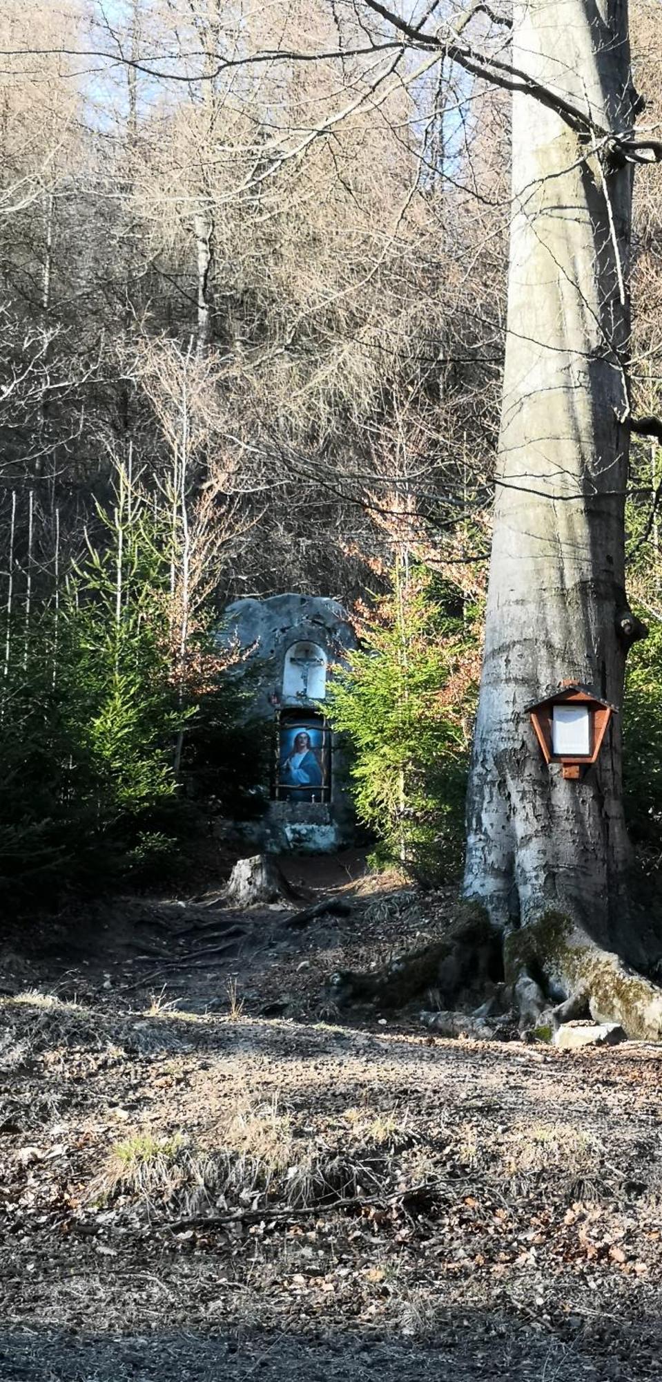 Penzion Ctyrlistek Teplice nad Metují エクステリア 写真