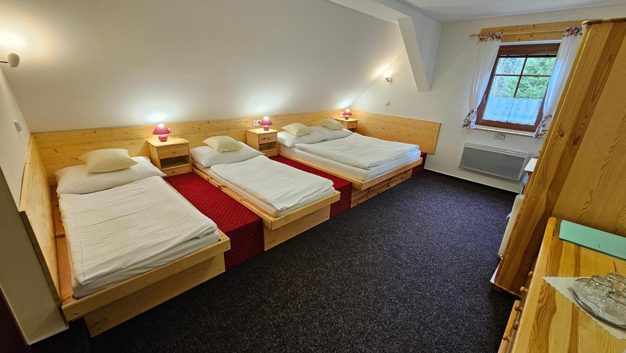 Penzion Ctyrlistek Teplice nad Metují エクステリア 写真